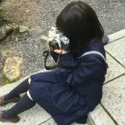 いちまの画像