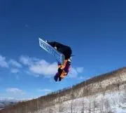 ポチタ