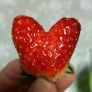 あいめぐの画像