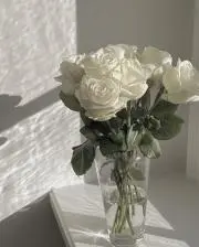 ゆきんこの画像