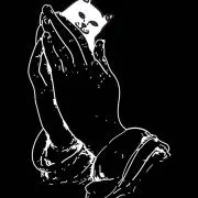 中指を立てた猫