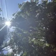 mt4taの画像