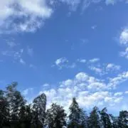 ちょこれーとの画像
