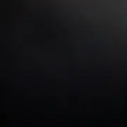 RAPTの画像