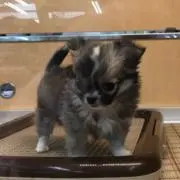 たくや