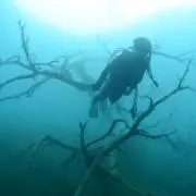 NYの画像