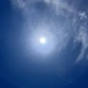 手豆の画像