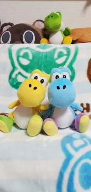 ayuminの画像