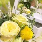 yume☺︎の画像