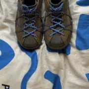 ゆの画像