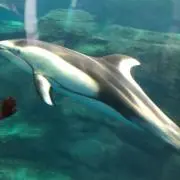 ♡プロフ必読※