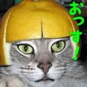 にゃんたま