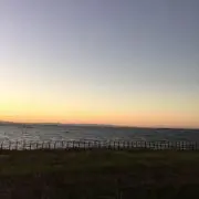 ちはる