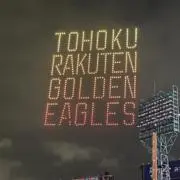 いきものの画像