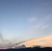 しろくまの画像