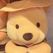 ぷぅの画像