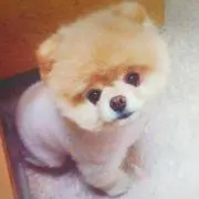 ちゃあちゃん♪