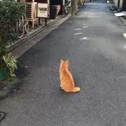 tatuponの画像