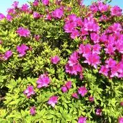 りの画像