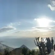 のんの画像