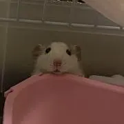 うい