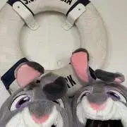 のんの画像