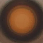 貧困学生　フォロワー割あり