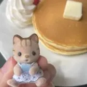 ぴの画像