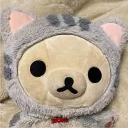 みかんの画像