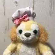 ☆syokoran☆の画像