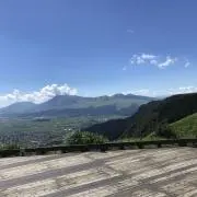 ツバメの画像
