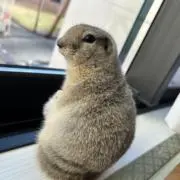 makoの画像