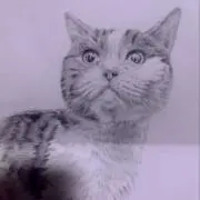 たなぴぴ
