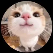 chocoの画像