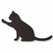 nekoの画像