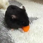 ぽんず
