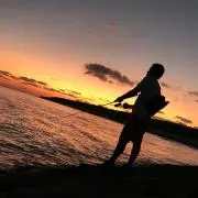 ハルの画像