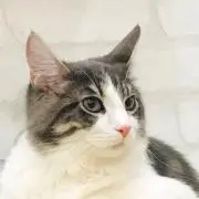 Mameの画像