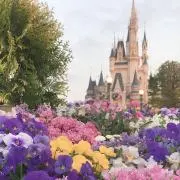 茶碗蒸しの画像