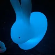 周囲の画像
