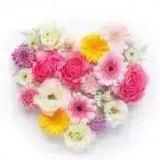 iii Friend♡断捨離Sale中の画像