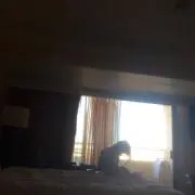 夢物語の画像
