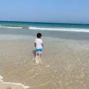 売切りたいです！らいおんの画像