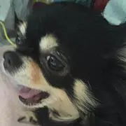 つるたろう