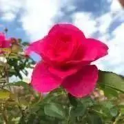 m.monkの画像