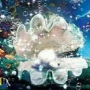 凜ちゃん*即購入OK*プロフ必読