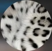るんるんの画像