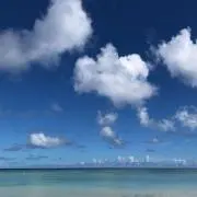 りょう