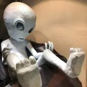 トッピーの画像