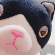 びよんせ